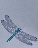 Freebird, Art Cards